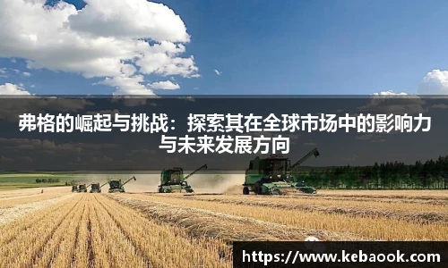 弗格的崛起与挑战：探索其在全球市场中的影响力与未来发展方向